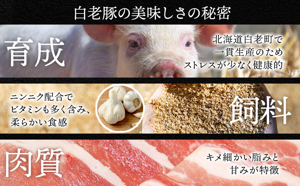 北海道産 白老豚 食べ比べセット（ロース・バラ・肩ロース・モモ各250g） 豚肉 冷凍 国産 スライス  BV020