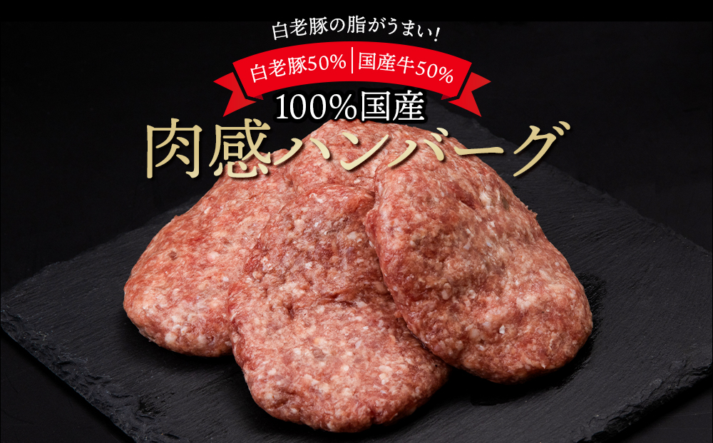 【定期便6ヶ月】国産100％白老合挽ハンバーグ150g×12 国産ハンバーグ 牛肉 豚肉 あいびき 洋食 肉料理 惣菜 冷凍 白老 ふるさと納税 北海道 BV026