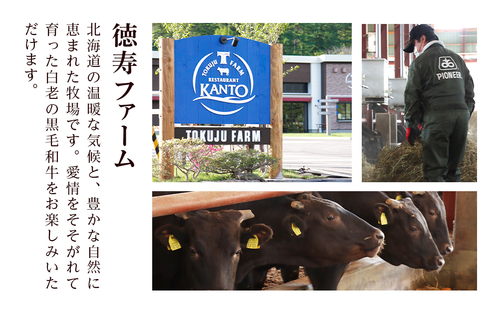 【定期便6カ月】 白老牛 サーロイン ステーキ 200g×6枚 （1.2㎏） 特製ソース付き 和牛 牛肉 ギフト 北海道 ＜徳寿＞ BJ071