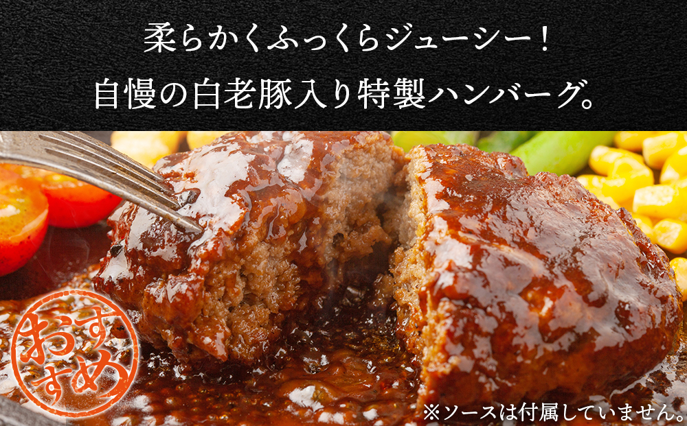 【定期便 6カ月】 北海道産 白老豚 ハンバーグ 120ｇ×15個 セット 冷凍 洋食 おかず BV035