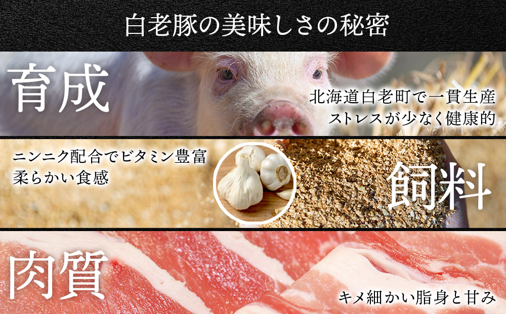 【定期便 6カ月】北海道産 白老豚 ヒレ 切り身 500g×2パック BV044