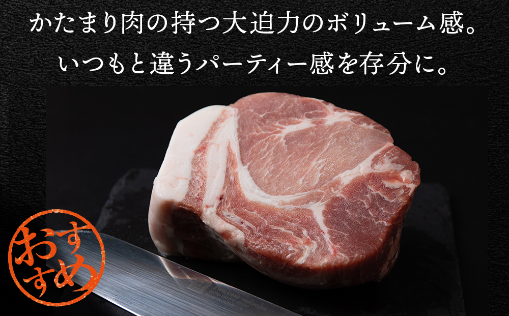 【定期便 6カ月】北海道産 白老豚 肩ロース ブロック 500g×2パック セット 冷凍 豚肉 料理 BV053