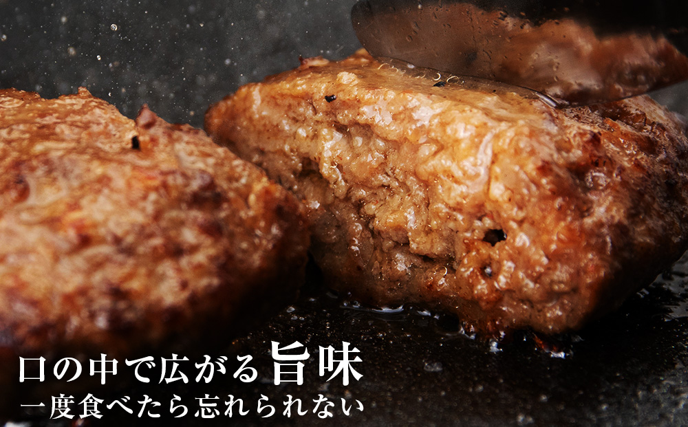 いわさき黒毛和牛 創業ハンバーグ 120g×5個 冷凍 白老和牛 和牛 牛肉 100％ ギフト AB021