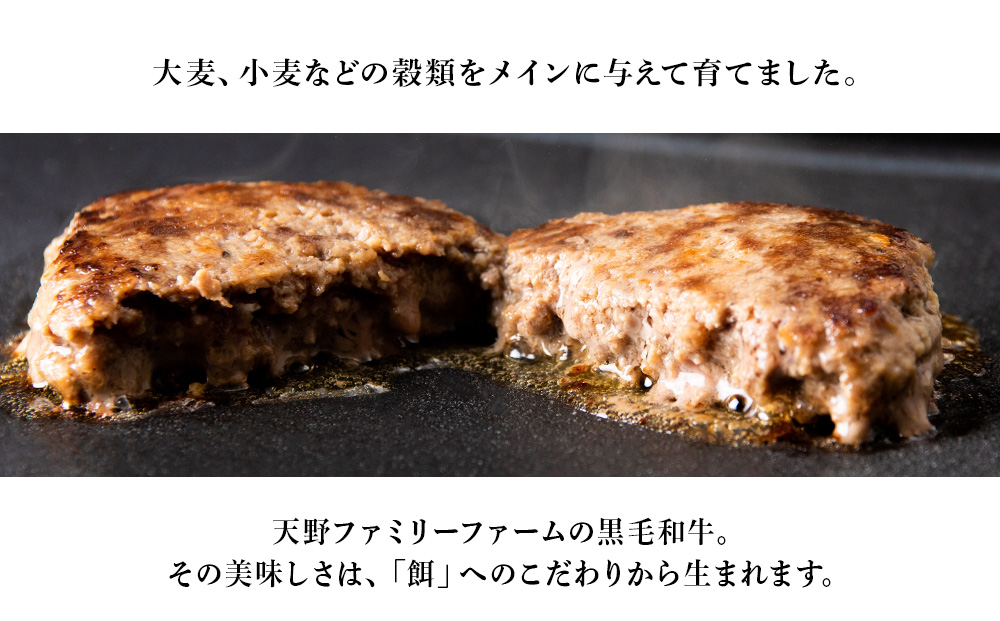 北海道 白老産 自家製 黒毛和牛 手ごね ハンバーグ 4枚セット 肉 牛肉 冷凍 白老 白老牛 BS047
