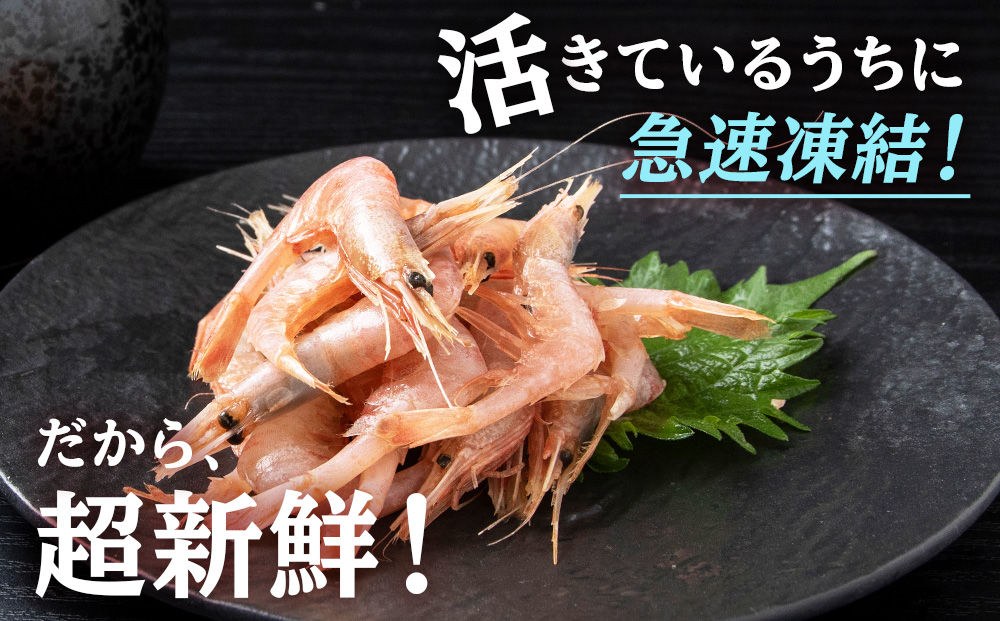 白海老 約400g と 白海老むき身 約200g セット 計約600g 北海道 虎杖浜産 生 えび エビ 海老 虎杖浜 国産 白老 AA033