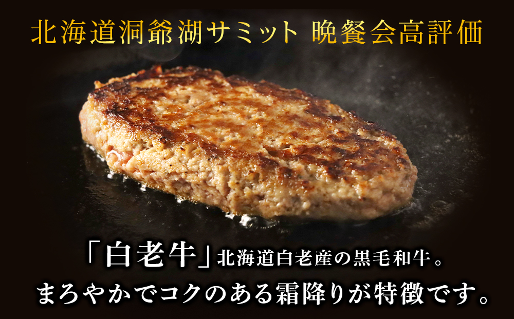 牛の里ビーフハンバーグ（110g×20個）特製ソース（20袋）の詰合せ AG059