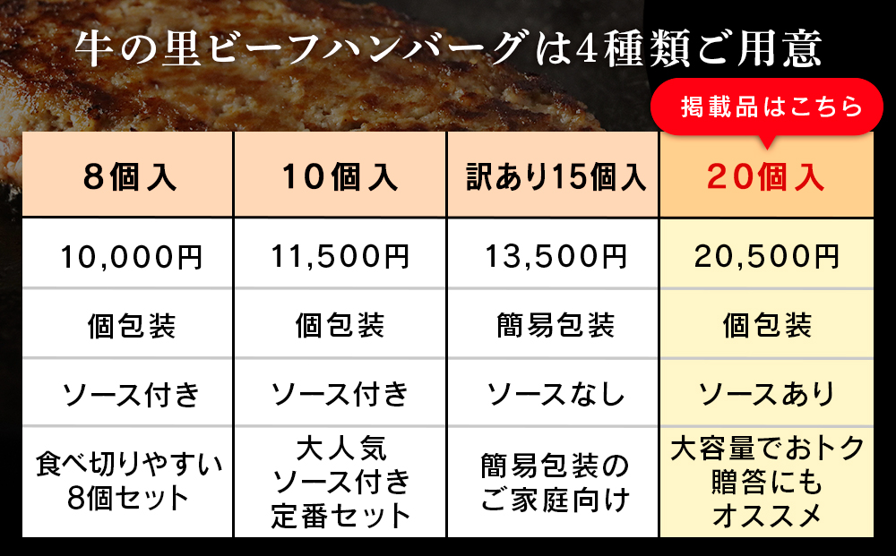 牛の里ビーフハンバーグ（110g×20個）特製ソース（20袋）の詰合せ AG059