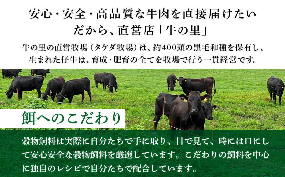 牛の里ビーフハンバーグ（110g×8個）特製ソース（8袋）の詰合せ AG050