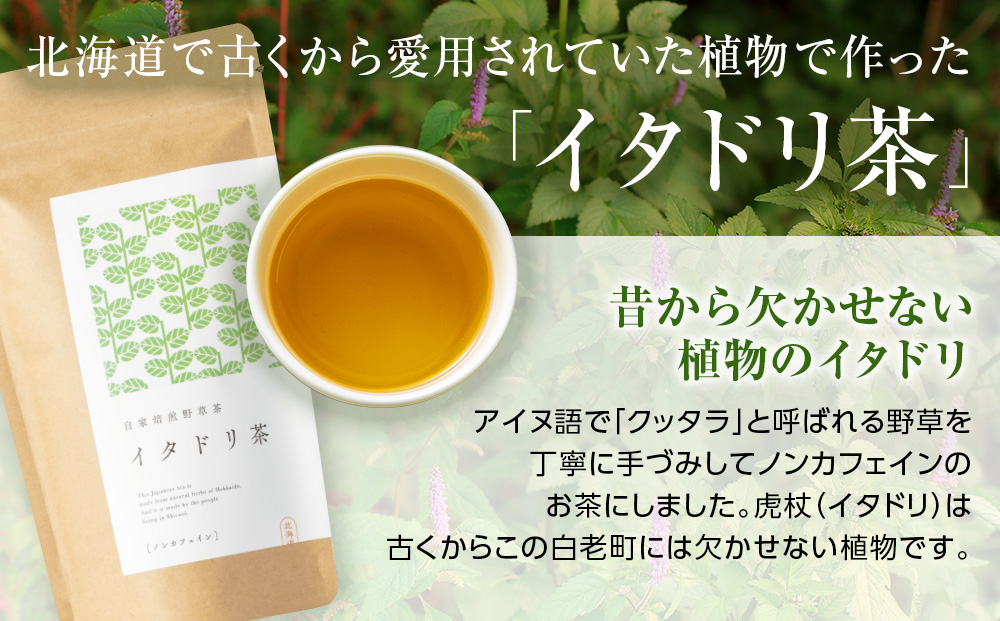 森の茶屋 イタドリ茶&エント茶 ノンカフェイン 健康茶 お茶 ナチュラルアイランド CH401