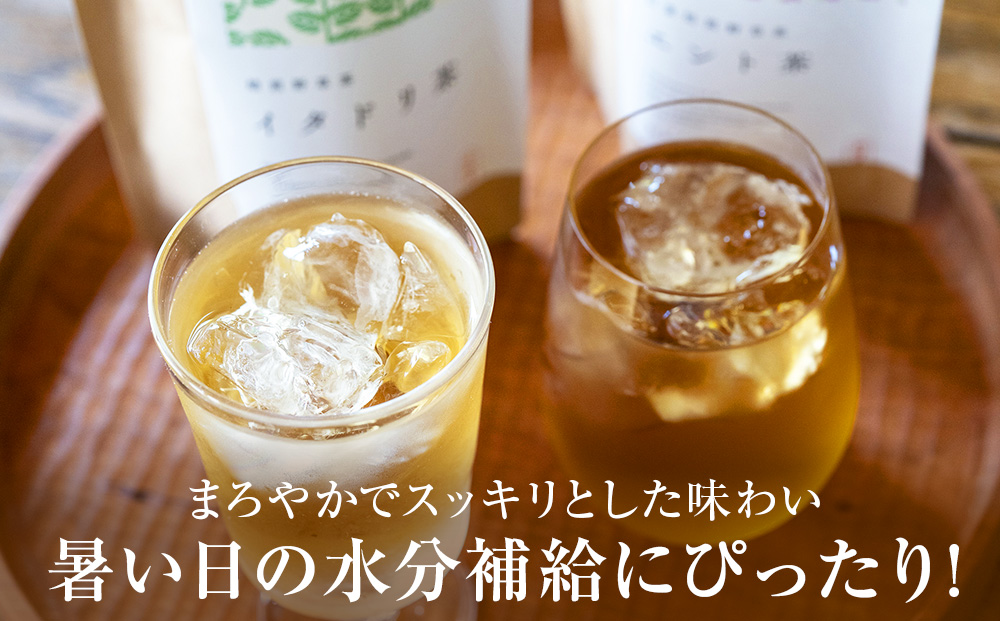 森の茶屋 イタドリ茶&エント茶 ノンカフェイン 健康茶 お茶 ナチュラルアイランド CH401