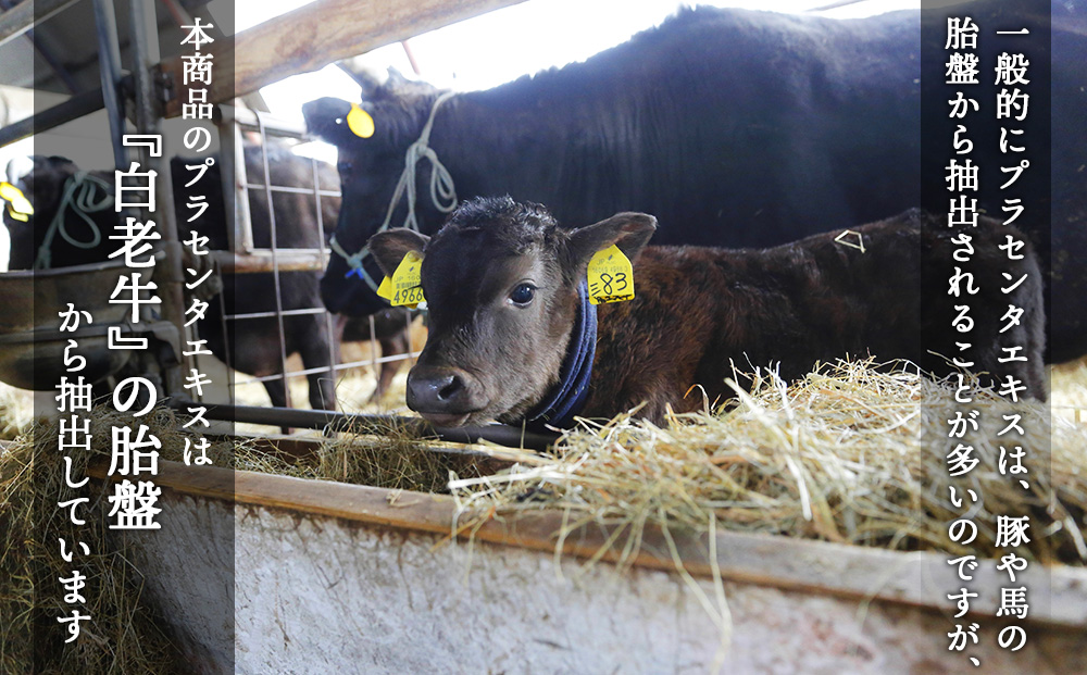 北海道白老産 生プラセンタ美容液 ～アヨロのピリカ～ 