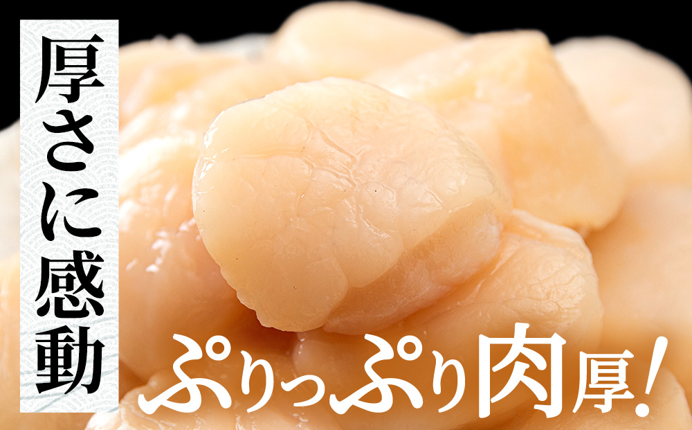 北海道産 ホタテ貝柱 800g (400g×2パック) ＜小田切水産＞ ほたて貝柱 帆立 玉冷 小分け AM107