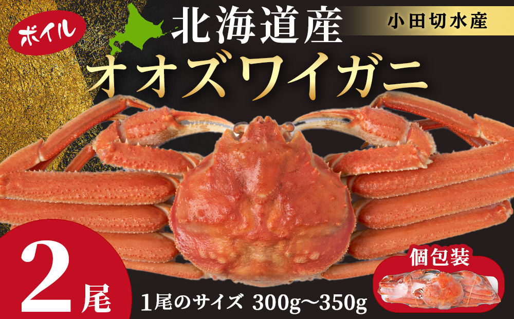 北海道産 大ズワイ 300g～350g ×2尾 ＜小田切水産＞ オオズワイ 蟹 かに カニ ボイル AM113