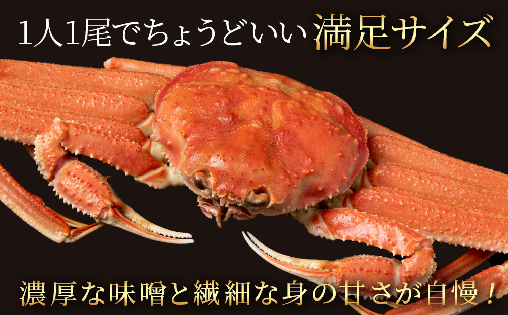 北海道産 大ズワイ 300g～350g ×2尾 ＜小田切水産＞ オオズワイ 蟹 かに カニ ボイル AM113