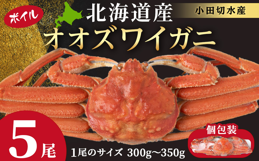 北海道産 大ズワイ 300g～350g ×5尾 ＜小田切水産＞ オオズワイ 蟹 かに カニ ボイル AM116