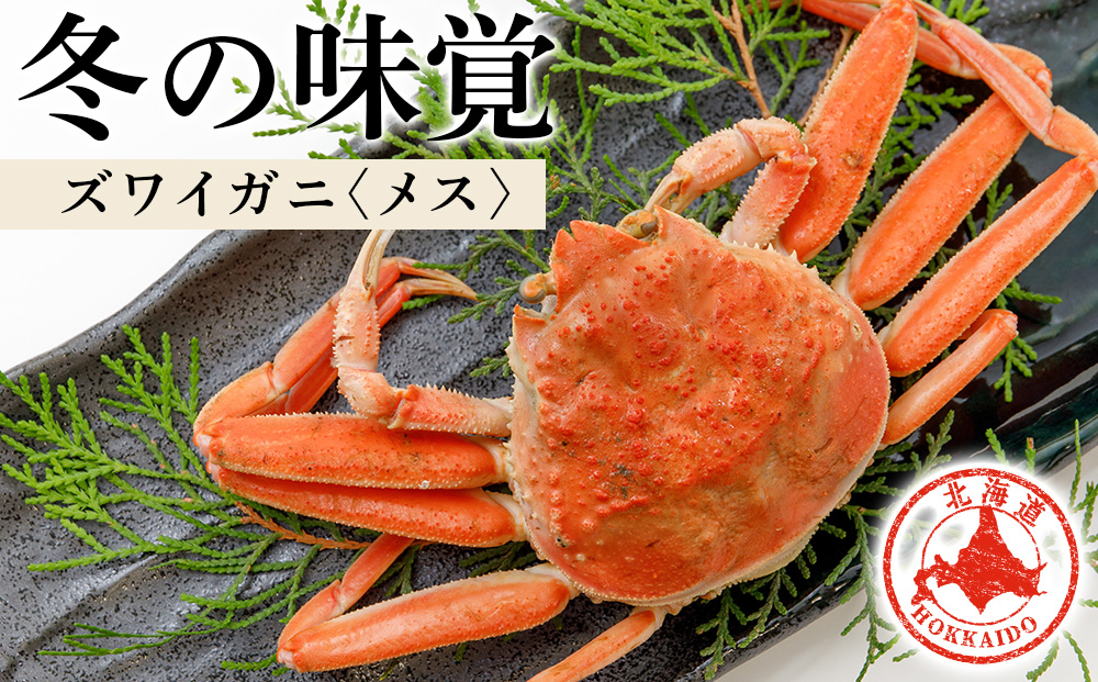 北海道産 生大ズワイガニ メス 1kg （加熱用） ずわいがに 蟹 〈斉藤水産〉オオズワイガニ オオズワイ AM091