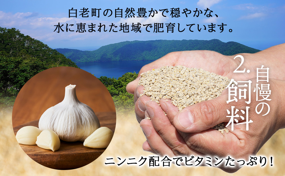 北海道産 白老豚 肩ロース ブロック 500g×2パック