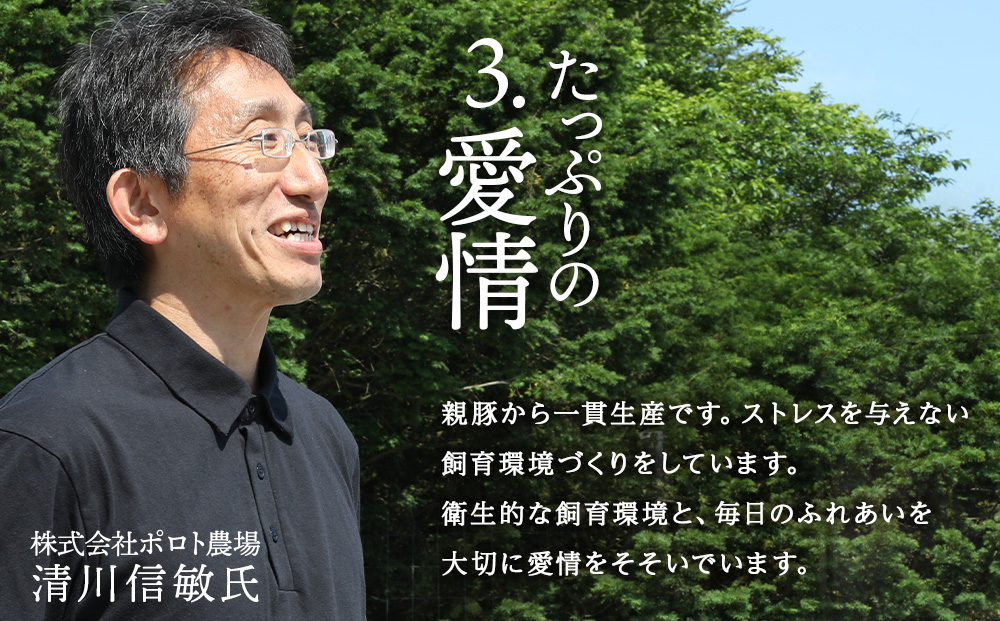 北海道産 白老豚 肩ロース ブロック 500g×2パック