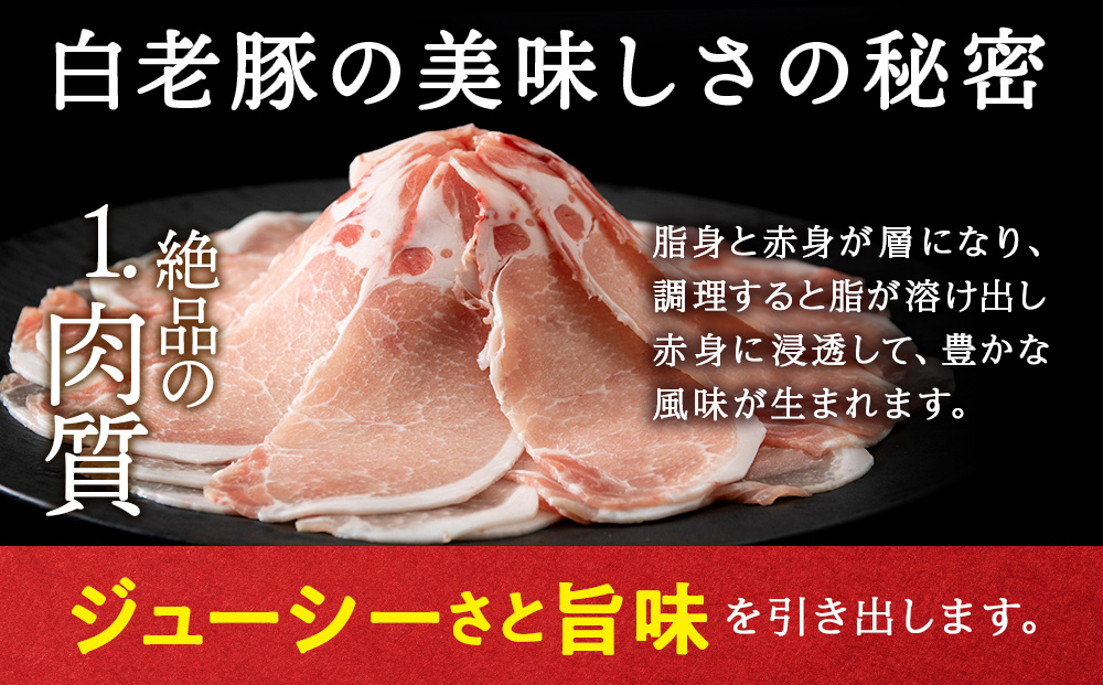 北海道産 白老豚 食べ比べセット（ロース・バラ・肩ロース・モモ各250g） 豚肉 冷凍 国産 スライス  BV020