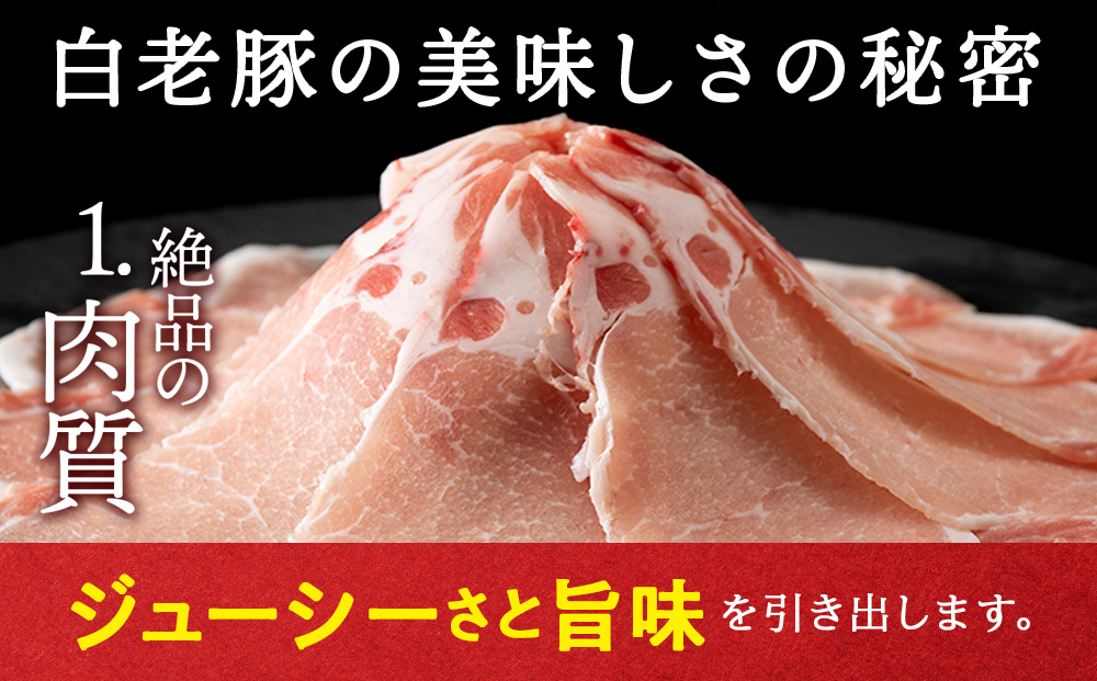 北海道産 白老豚 ロース みそ漬けセット（4種各300g） 豚肉 冷凍 国産  BV021