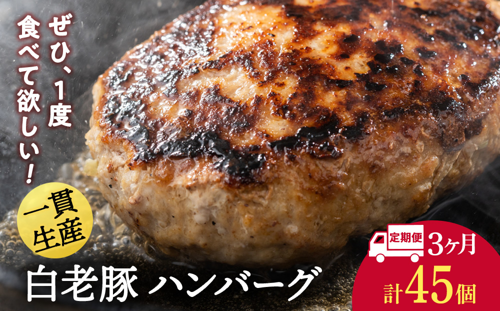 【定期便 3カ月】 北海道産 白老豚 ハンバーグ 120ｇ×15個 セット 冷凍 洋食 おかず BV034