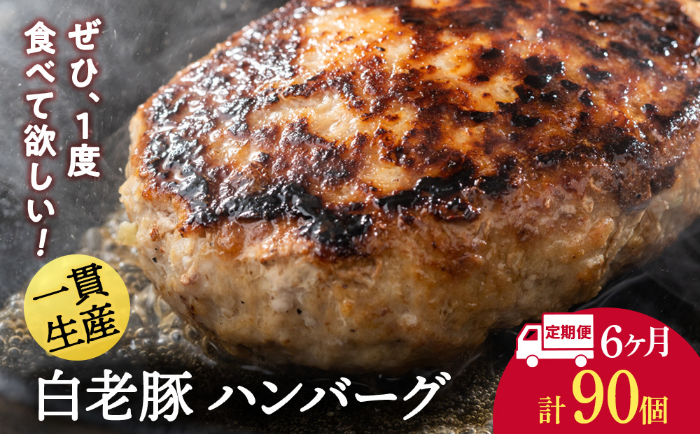 【定期便 6カ月】 北海道産 白老豚 ハンバーグ 120ｇ×15個 セット 冷凍 洋食 おかず BV035