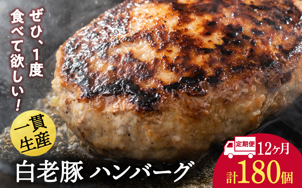 【定期便 12カ月】 北海道産 白老豚 ハンバーグ 120ｇ×15個 セット 冷凍 洋食 おかず BV036