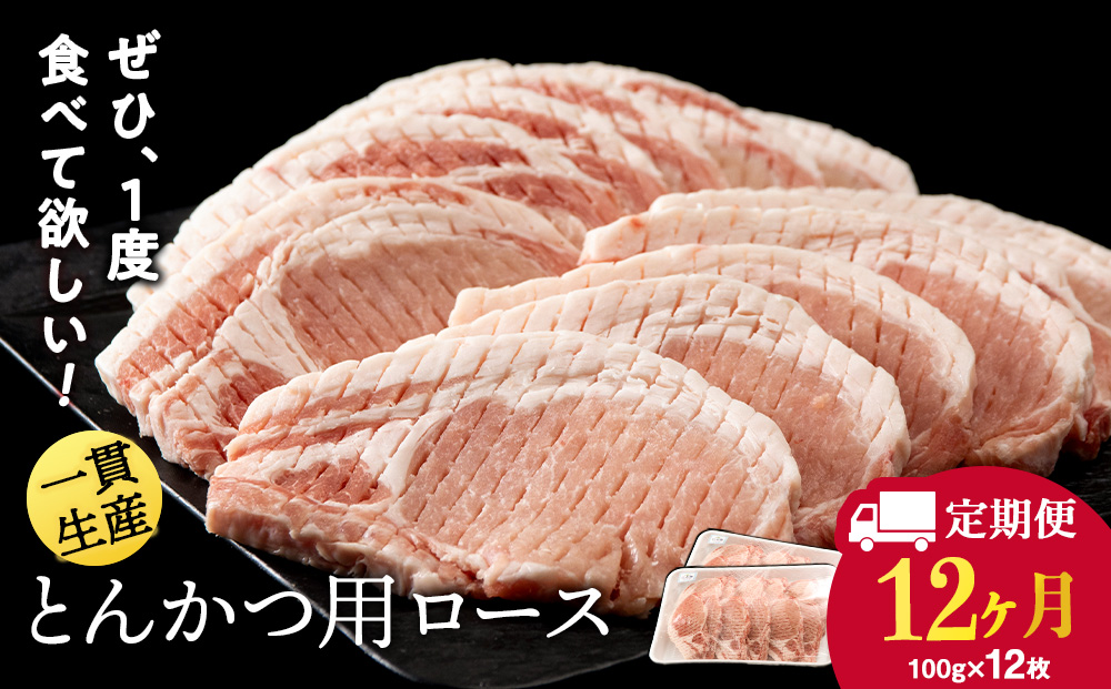 【定期便 12カ月】北海道産 白老豚 ロース とんかつ用 100g×12枚 BV048