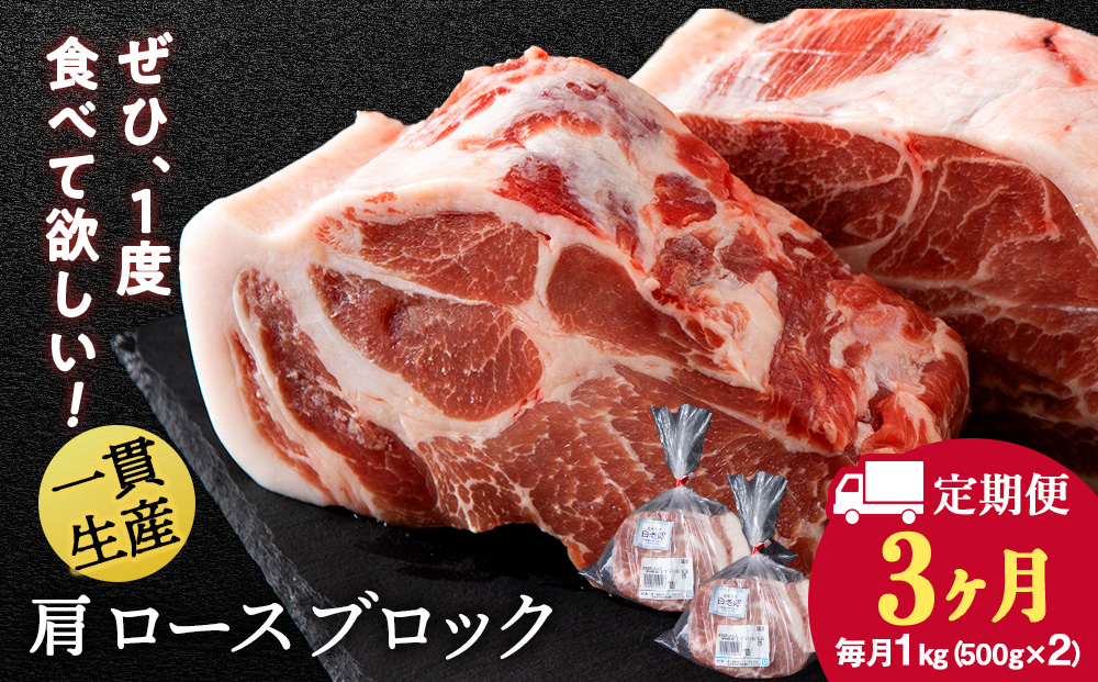 【定期便 3カ月】北海道産 白老豚 肩ロース ブロック 500g×2パック セット 冷凍 豚肉 料理 BV052