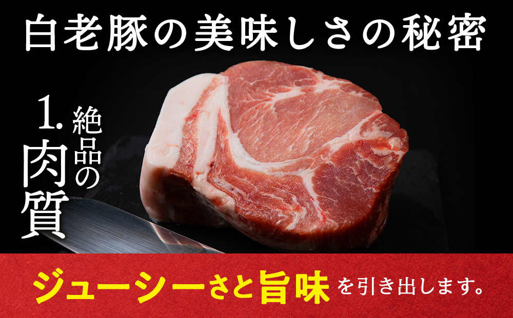 【定期便 3カ月】北海道産 白老豚 肩ロース ブロック 500g×2パック セット 冷凍 豚肉 料理 BV052