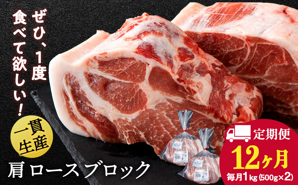 【定期便 12カ月】北海道産 白老豚 肩ロース ブロック 500g×2パック セット 冷凍 豚肉 料理 BV054