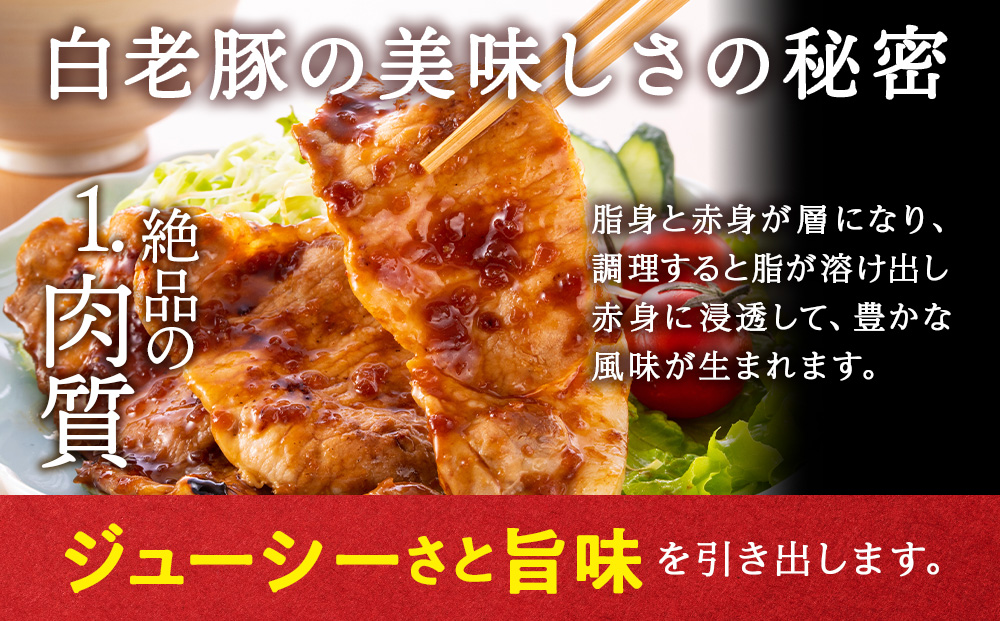 【定期便 3カ月】北海道産 白老豚 肩ロース スライス 500g×3パック セット 冷凍 豚肉 料理 BV055