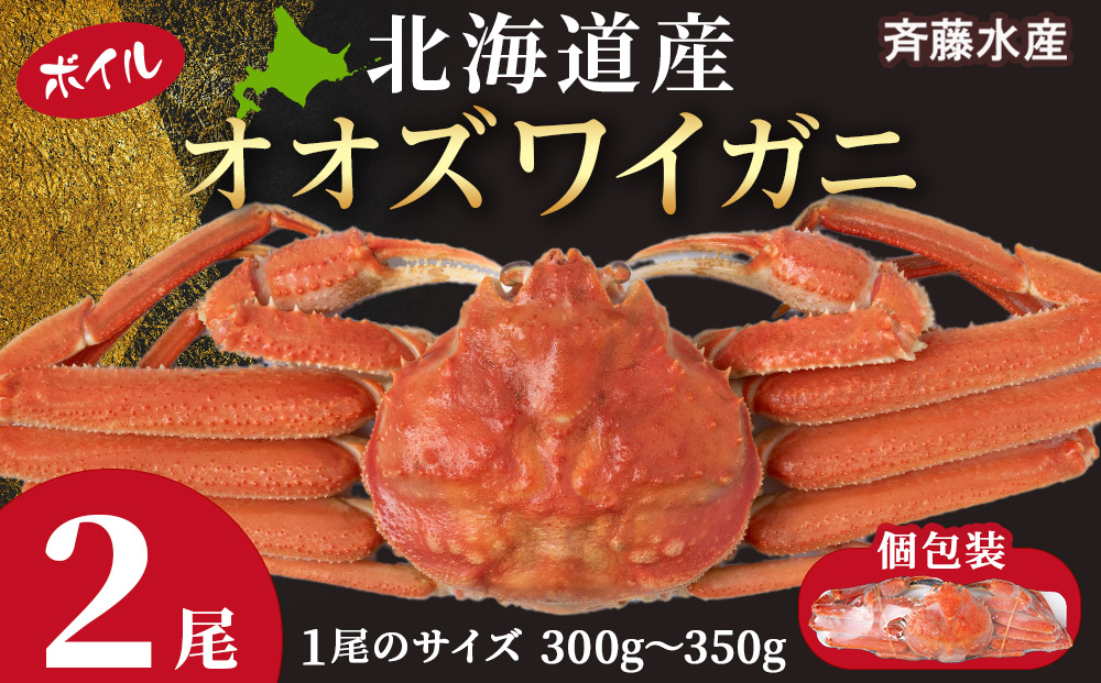 北海道産 大ズワイ 300g～350g ×2尾 ＜斉藤水産＞ オオズワイ 蟹 かに カニ ボイル AM113