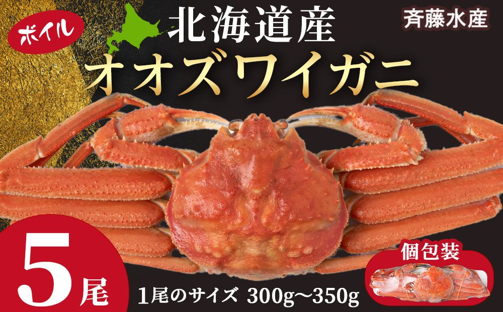 北海道産 大ズワイ 300g～350g ×5尾 ＜斉藤水産＞ オオズワイ 蟹 かに カニ ボイル AM116