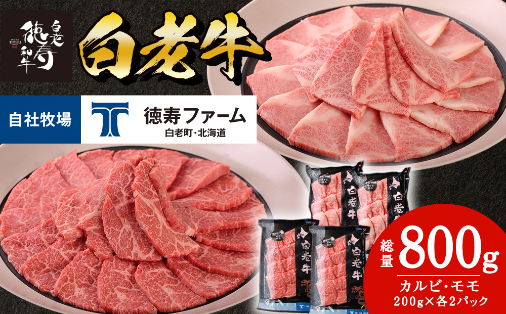 白老牛 焼肉 霜降り カルビ＆モモ セット 合計800ｇ（各400ｇ）特製焼肉のたれ付き 和牛 牛肉 北海道 ギフト ＜徳寿＞ BJ064