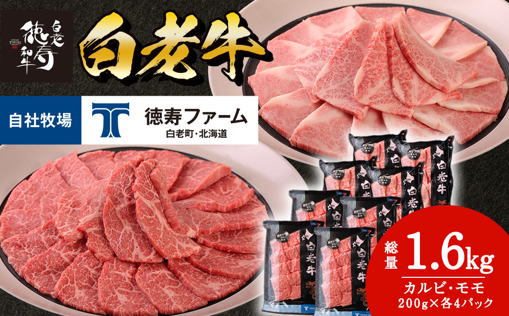 白老牛 焼肉 霜降り カルビ＆モモ セット 合計1.6kg（各800ｇ）特製焼肉のたれ付き 和牛 牛肉 北海道 ギフト ＜徳寿＞ BJ066