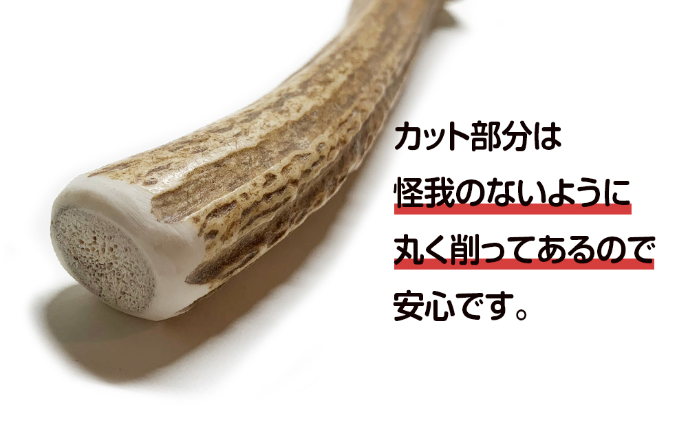 鹿の角 エゾシカ 犬のおもちゃ 『鹿角さん』 大型犬用　割っていないタイプ　１本