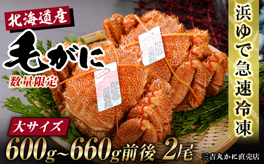 【大サイズ】北海道産 冷凍ボイル毛ガニ (600g-660g前後) 2尾 AS128