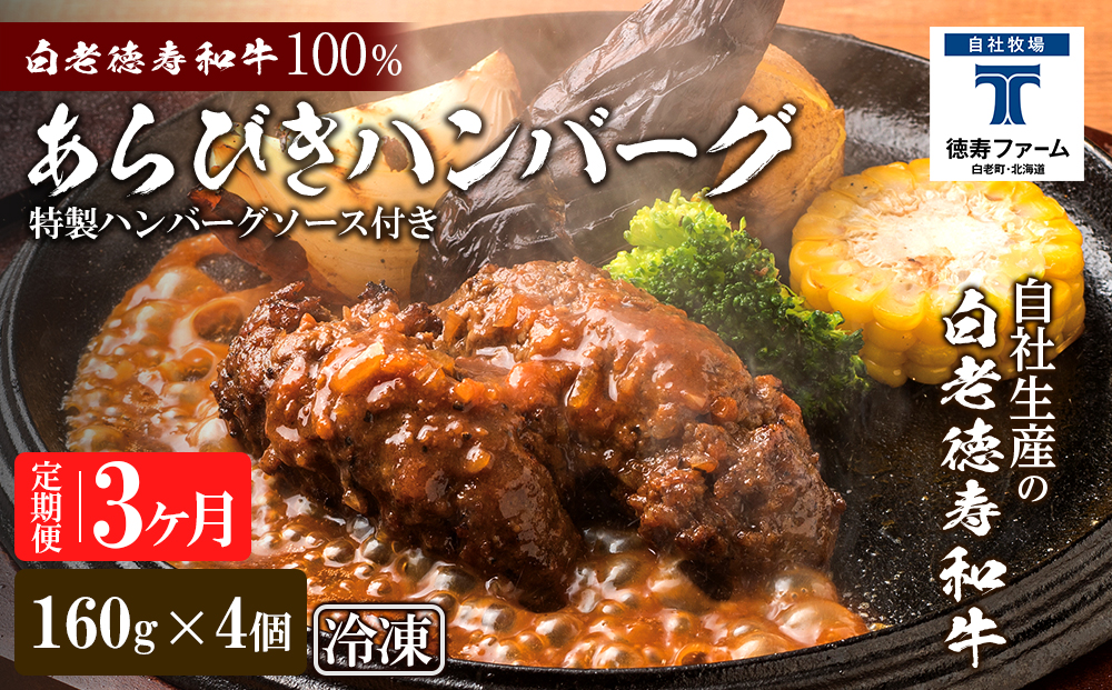 定期便 3カ月 和牛 粗びき 生 ハンバーグ 4個セット デミグラスソース付き 160ｇ×4袋