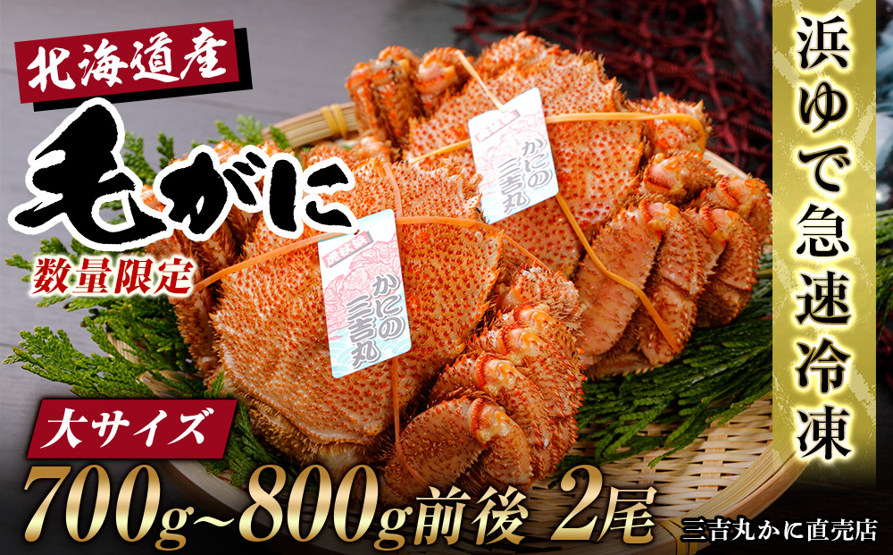 【大サイズ】北海道産 冷凍ボイル毛ガニ (700g-800g前後) 2尾 AS124