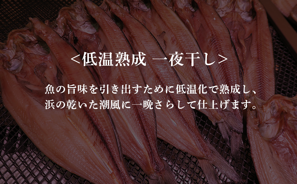 低温熟成 一夜干し 特大 真ほっけ ２尾 ＜北海道産＞  AA024