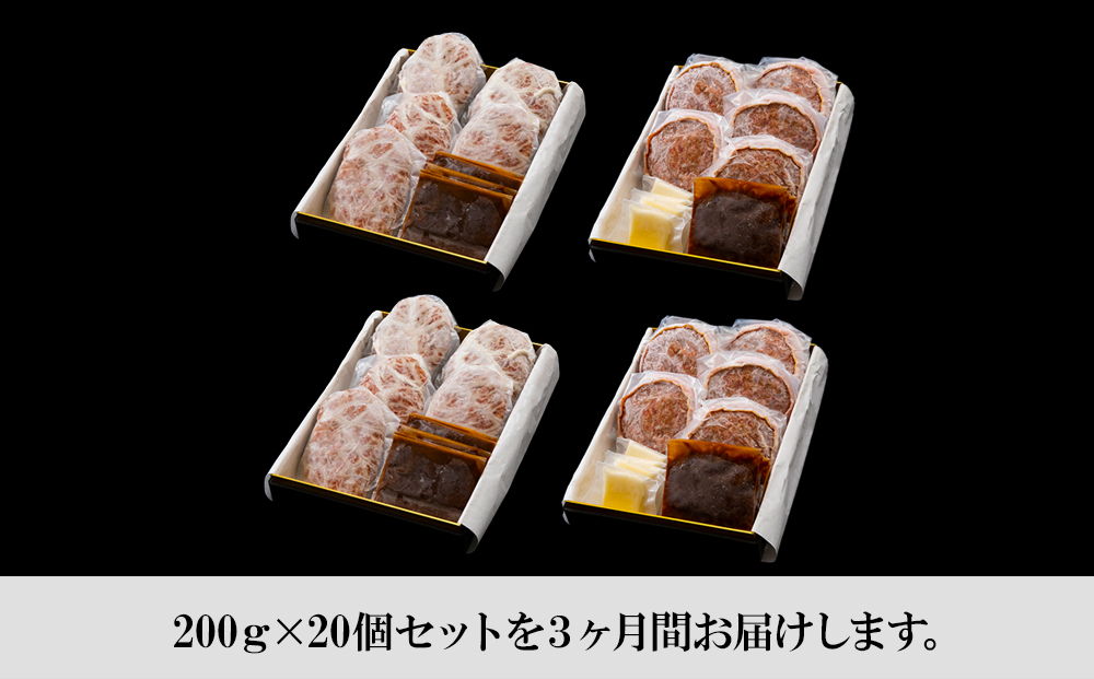 定期便3カ月 お楽しみ 白老牛 2種 食べ比べ ハンバーグ セット 合計20個 モッツァレラ ベーコン 網脂 特製ソース 手造り