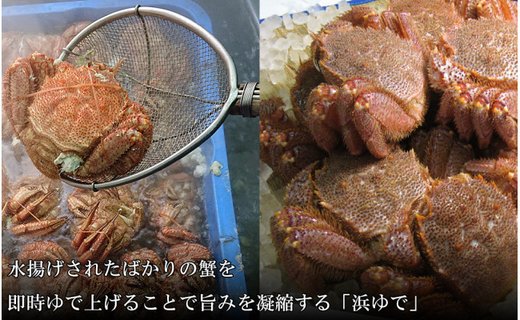 【大サイズ】北海道産 冷凍ボイル毛ガニ (700g-800g前後) 5尾 