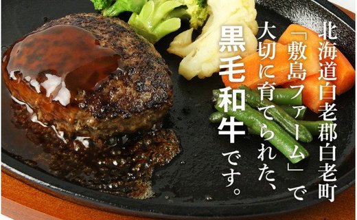 大人気！黒毛和牛手作りハンバーグセット≪敷島ファーム≫ 