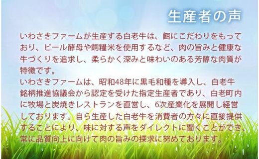 いわさきファーム白老牛　特選ギフト「Ｃ」セット