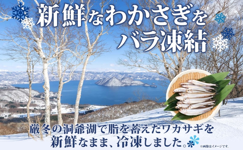 洞爺湖産黄金のわかさぎ 22尾×4P