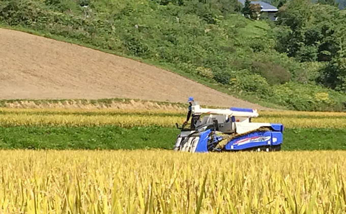 定期便 3ヶ月 北海道産 ゆめぴりか 5kg  9月下旬よりお届け 財田米 米 精米 北海道米 ご飯 ごはん ライス ブランド米  国産米 白米 ギフト お取り寄せ 産地直送 宮内農園 送料無料 北海道 洞爺湖町