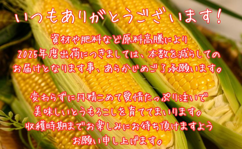 北海道産 とうもろこし 恵味 ゴールド 2L 18本 8月中旬～9月末頃お届け 朝採り めぐみ トウモロコシ コーン スイートコーン 甘い 新鮮 先行受付 夏 野菜 産地直送 送料無料 塩田農園 北海道 洞爺湖町