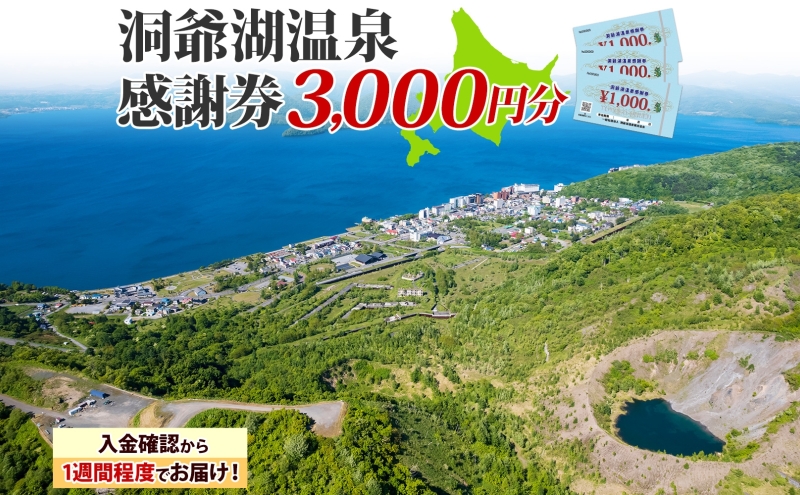 洞爺湖温泉感謝券 3000円 分 金券 クーポン 洞爺湖 湖 温泉 リゾート 有珠山 火山 自然 花火 イルミネーション 旅行 観光 宿泊 施設 北海道