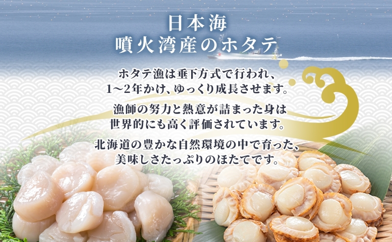 北海道産 ほたて 2種 ボイルベビーホタテ 生食用貝柱3Sサイズ 各1kg 計